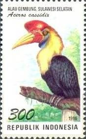 File:Stamp of Indonesia - 1996 - Colnect 253527 - Knobbed Hornbill Aceros cassidis.jpeg