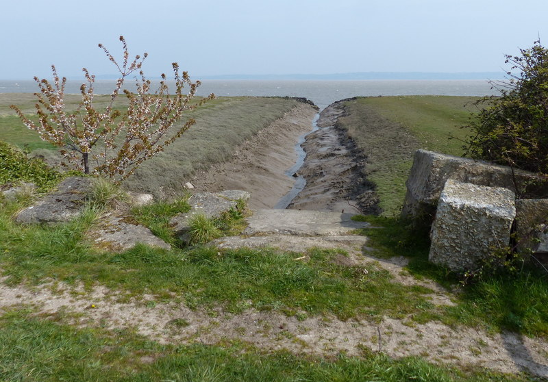 File:Stream flowing into the Dee Estuary - geograph.org.uk - 6196132.jpg