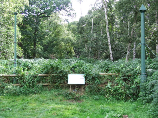 Holme Fen Posts