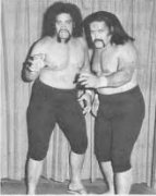 <span class="mw-page-title-main">Wild Samoans</span> Professional wrestling tag team