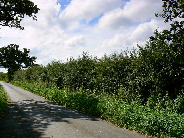 File:The road from Flaxlands - geograph.org.uk - 903015.jpg