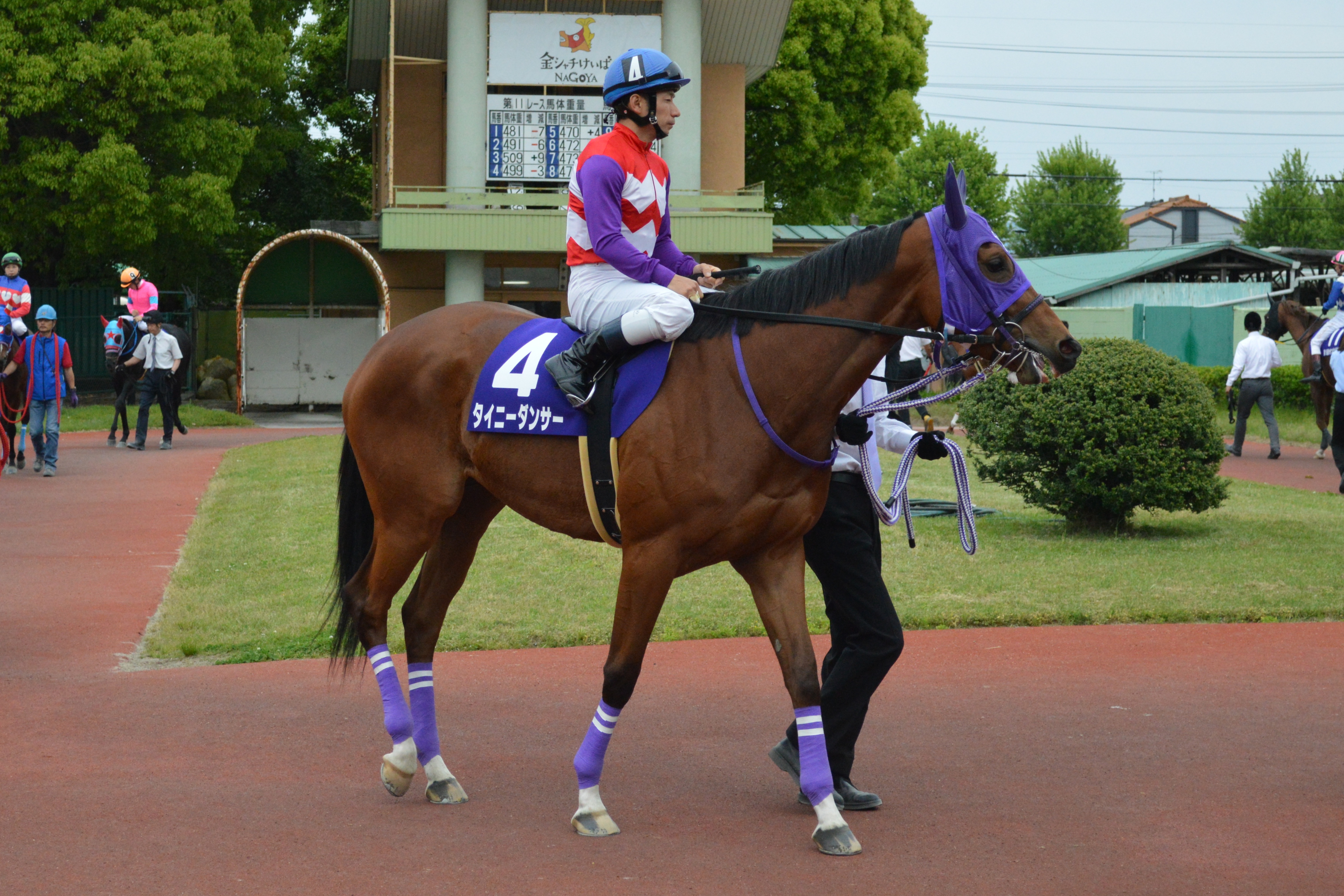 タイニーダンサー