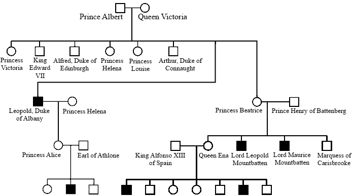 Victoria pedigree