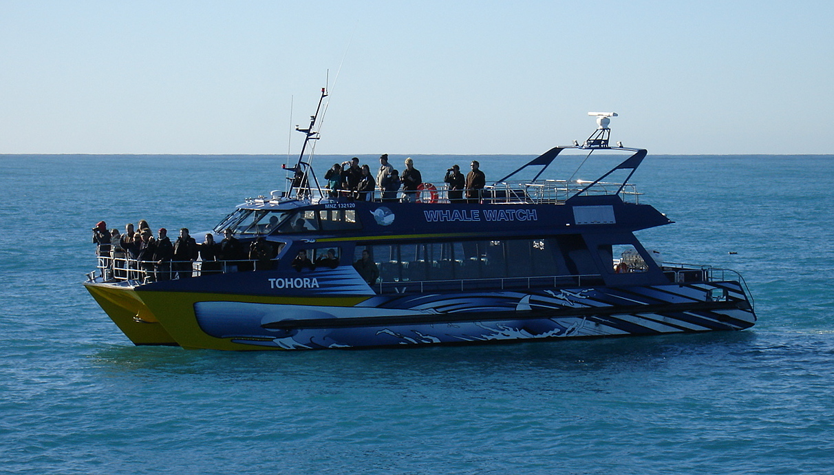 File:Whale watching boat.JPG - Wikimedia Commons