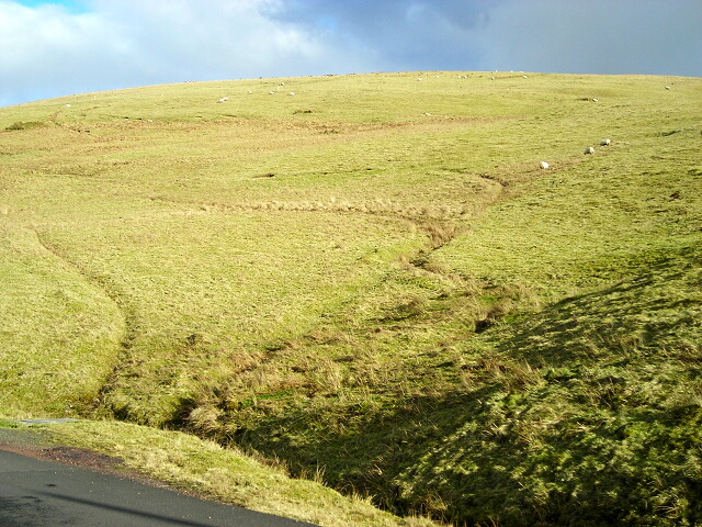 File:White Hill - geograph.org.uk - 341649.jpg