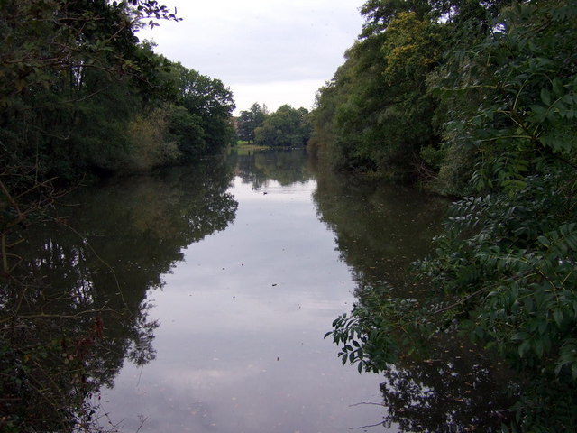 File:Whiteknights lake from Friends' Bridge - geograph.org.uk - 577919.jpg