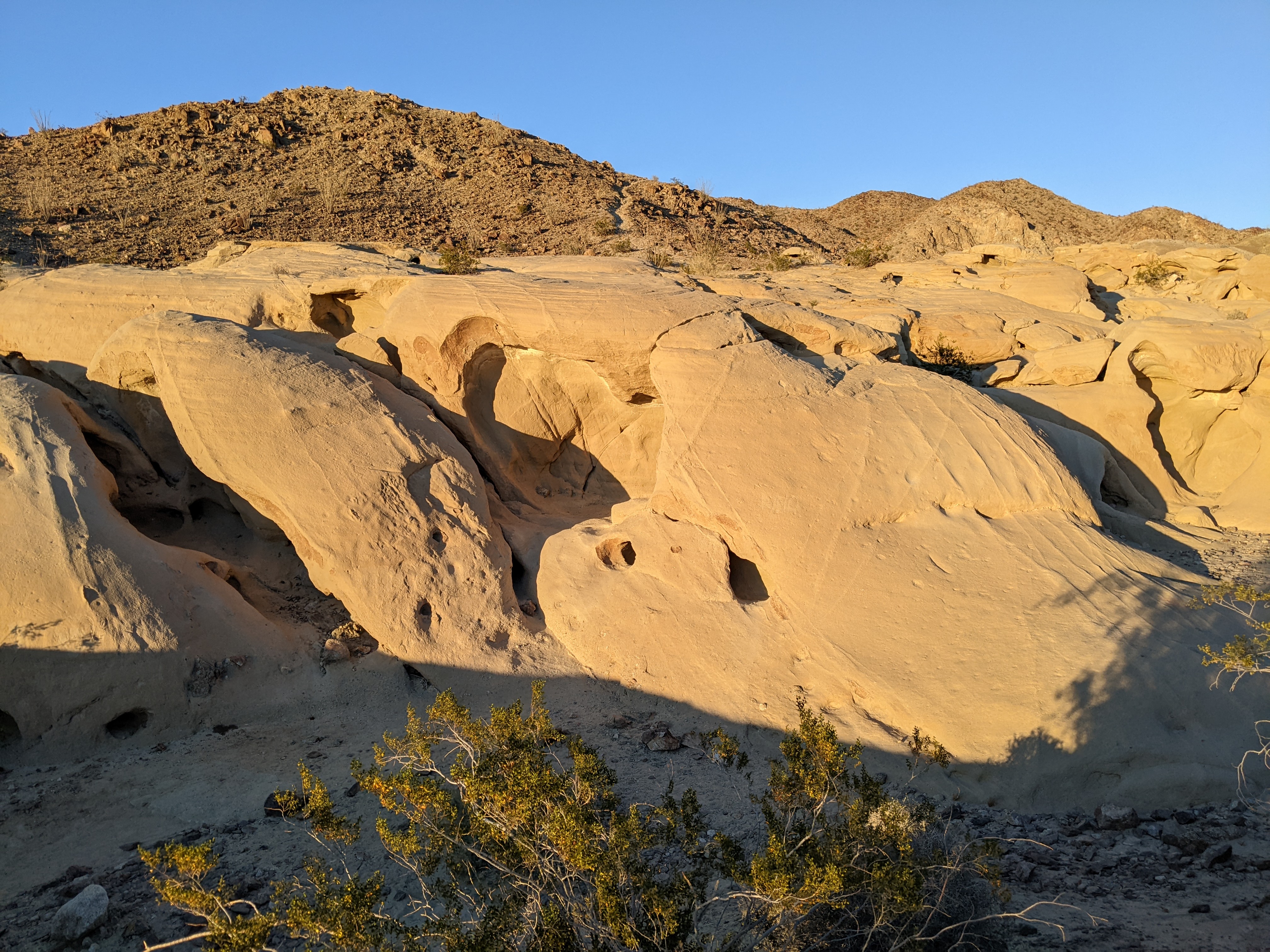 Desert state. Anza-Borrego Desert State Park.