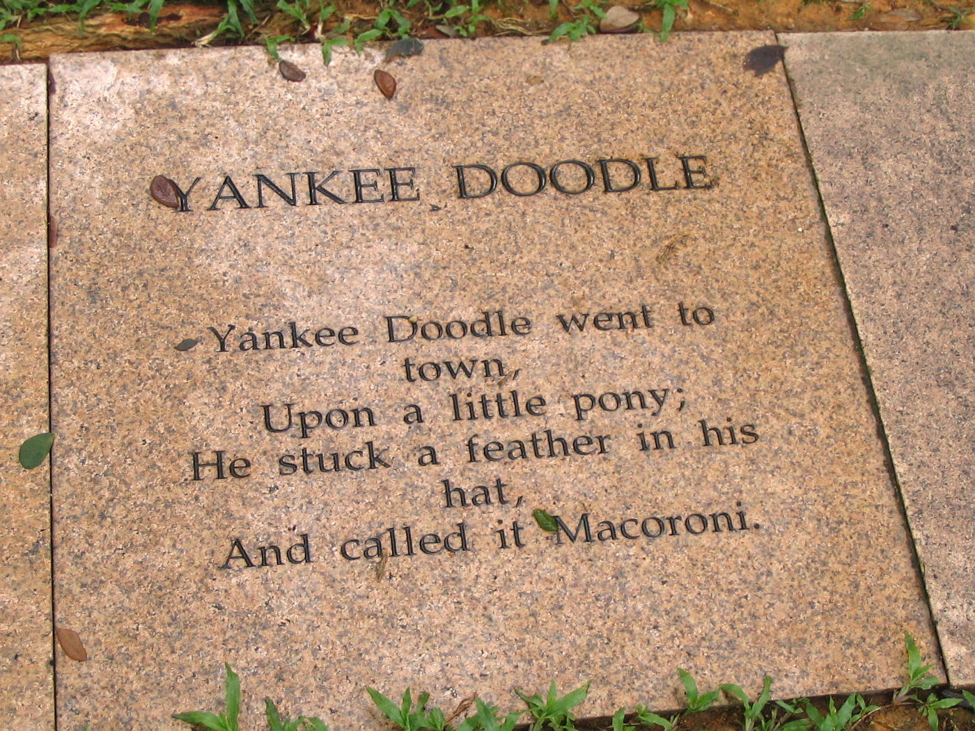 The Yankee Noodle