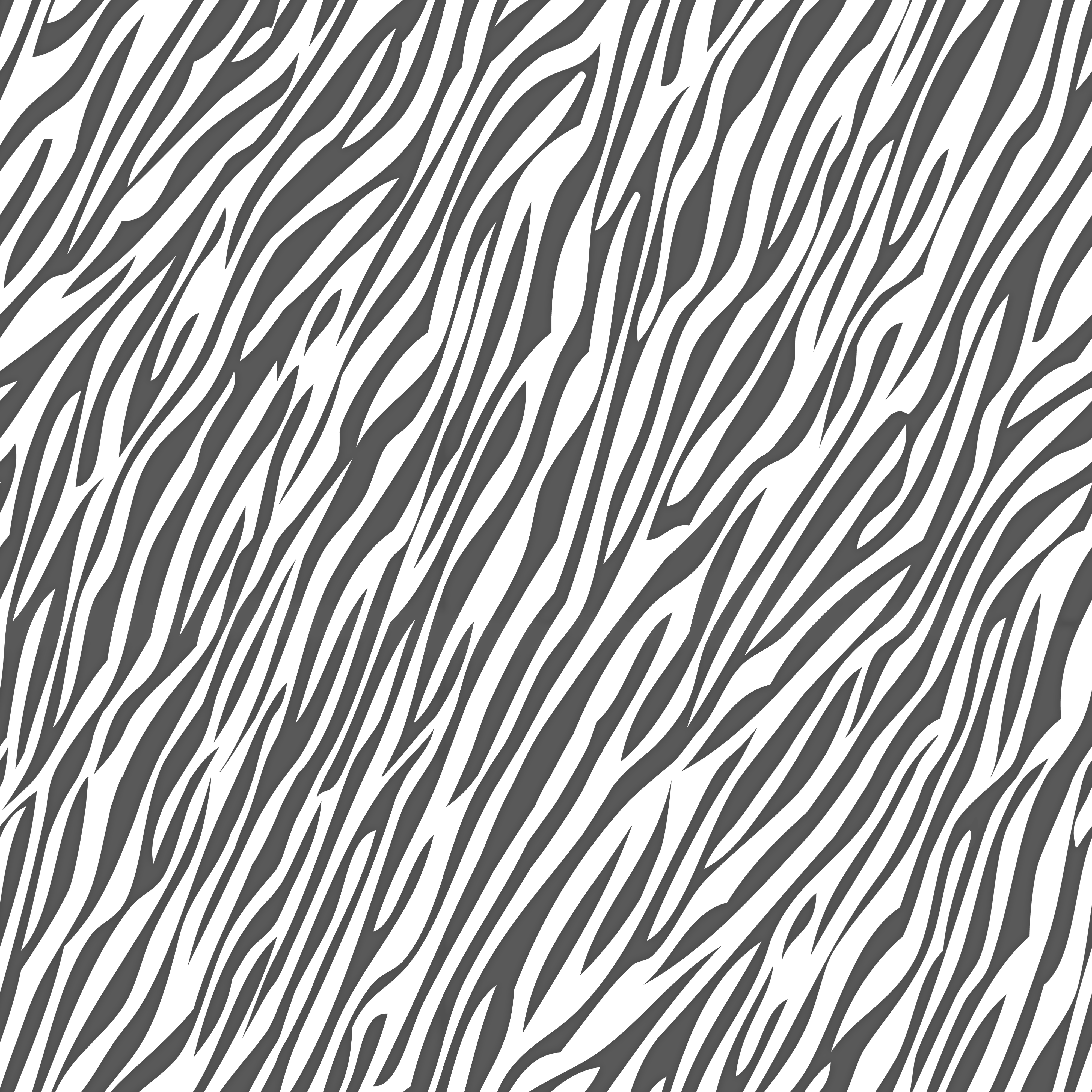 zebra skin