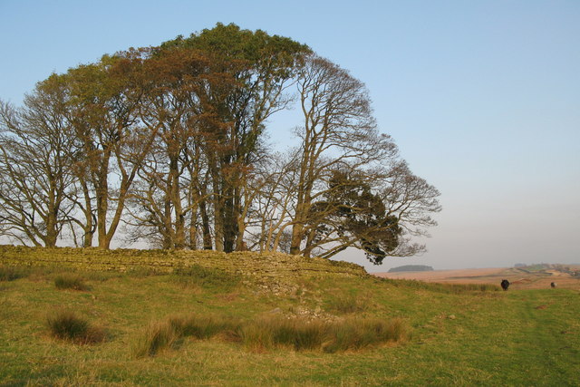 File:(The site of) Milecastle 34 - geograph.org.uk - 592694.jpg