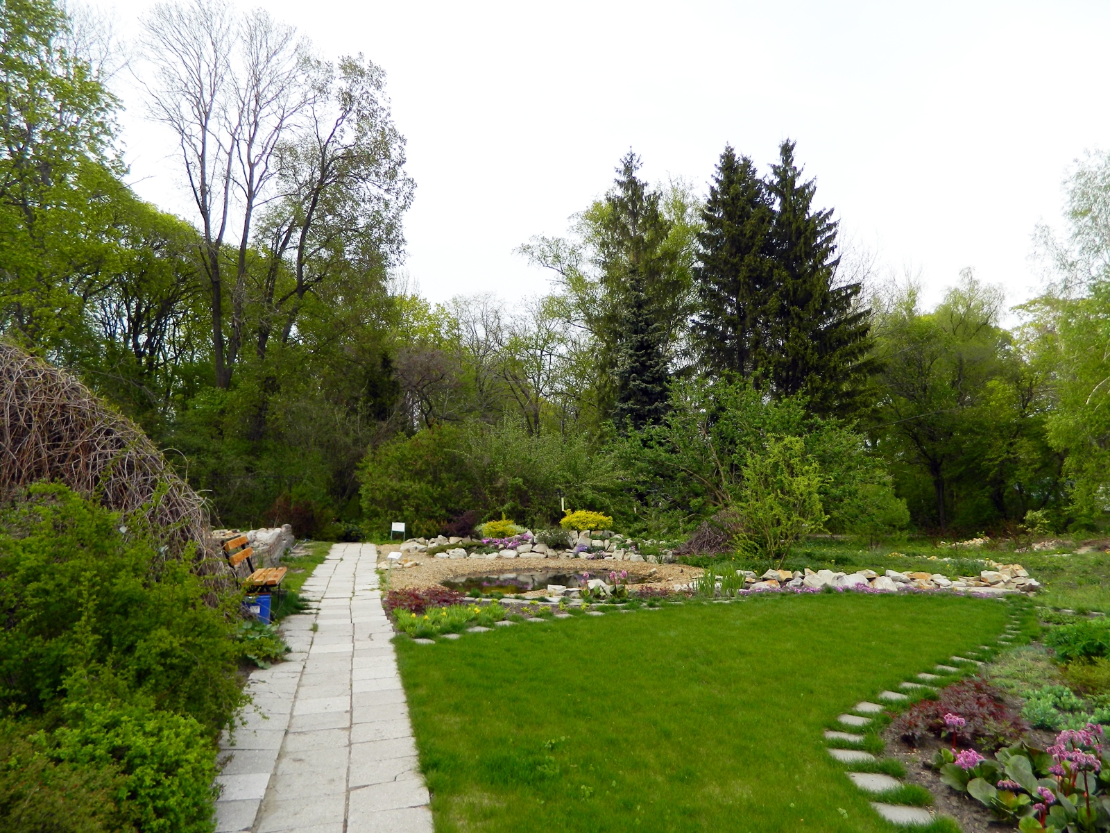 Пензенский ботанический сад — Википедия