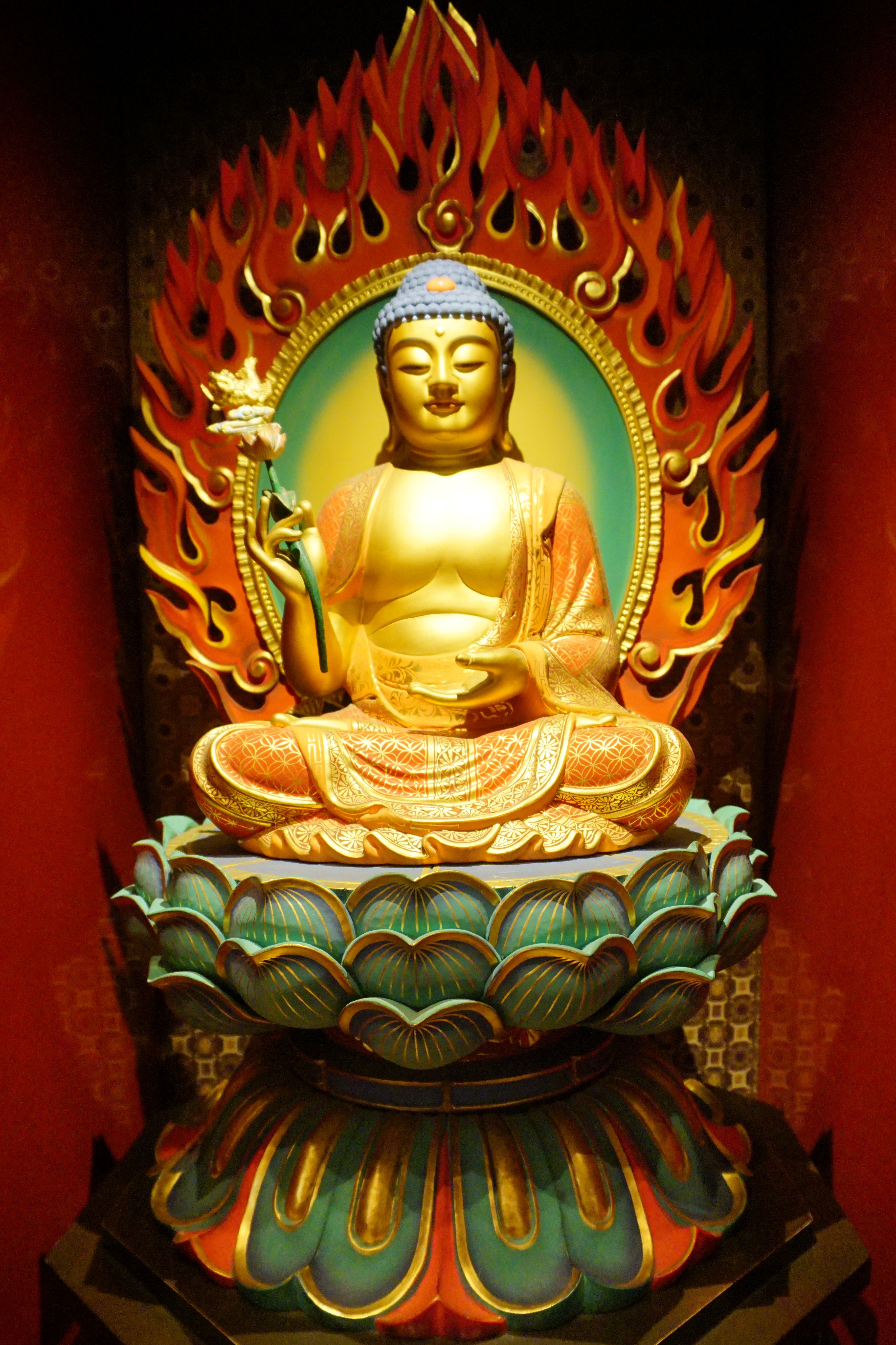 buddha lotus