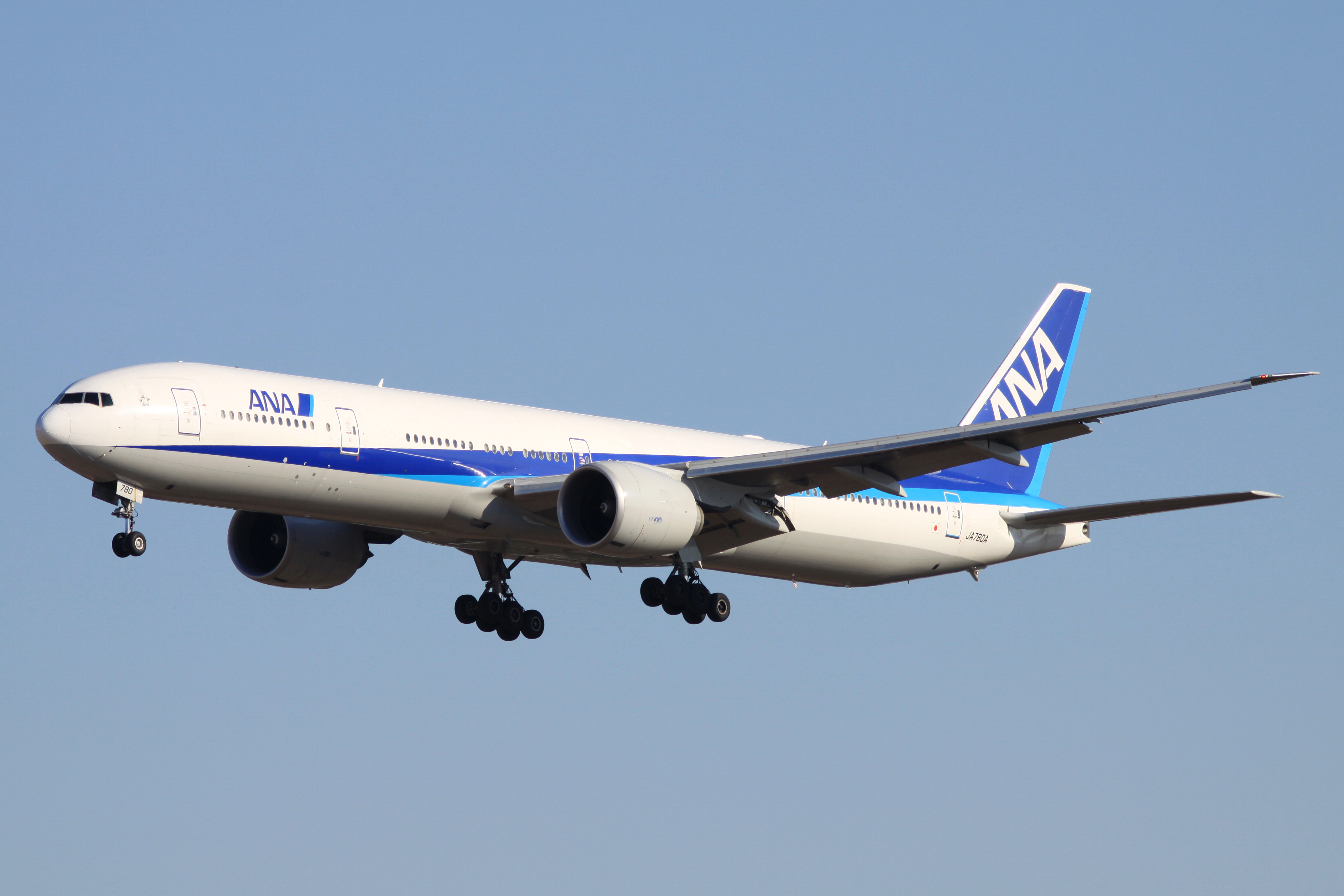 ANA B777-300ER - 航空機