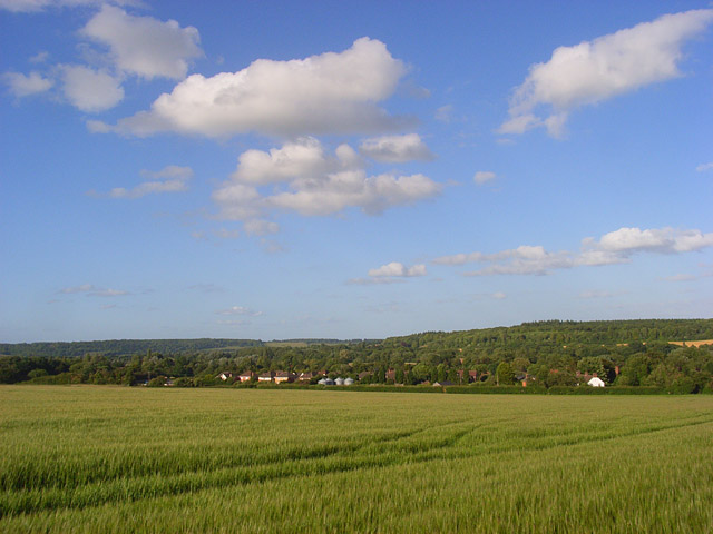 File:Barley, Tidmarsh - geograph.org.uk - 867700.jpg