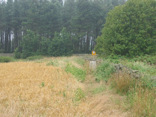 File:Barley Hill - geograph.org.uk - 9525.jpg