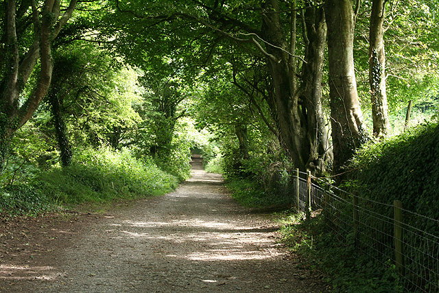 File:Berrynarbor, the Old Coast Road - geograph.org.uk - 886363.jpg