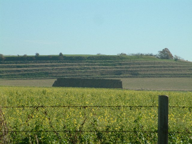 File:Blewburton Hill - geograph.org.uk - 80312.jpg