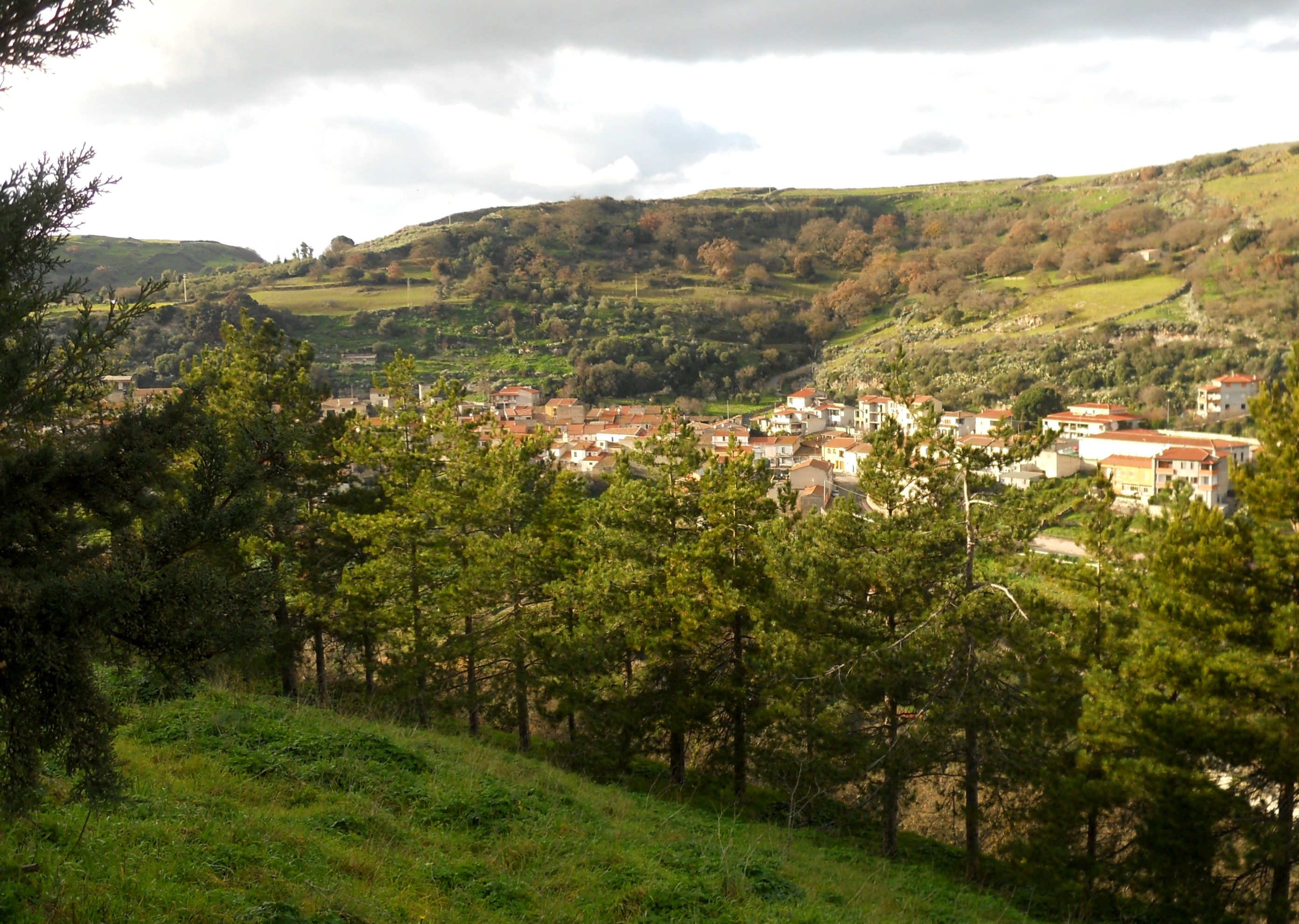 Noleggio estintori a Borutta