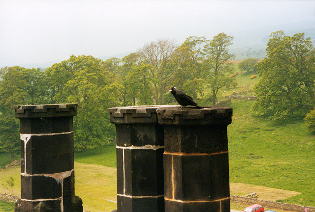File:Crow on the chimneytops at Bolton Castle - geograph.org.uk - 1434788.jpg