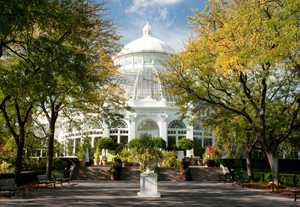 The Haupt Conservatory in fall Enid A. Haupt Conservatory.jpg