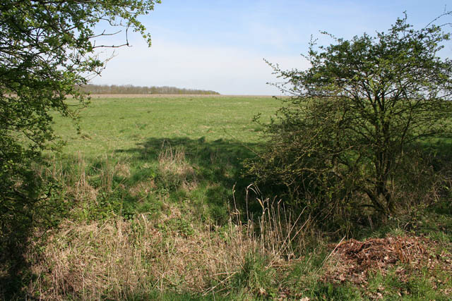 File:Farmland at Temple Wood - geograph.org.uk - 411933.jpg