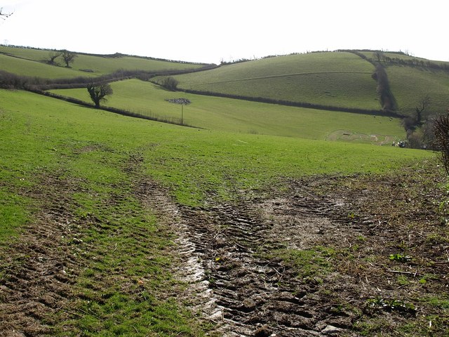 File:Field, Pridhamsleigh - geograph.org.uk - 1203526.jpg