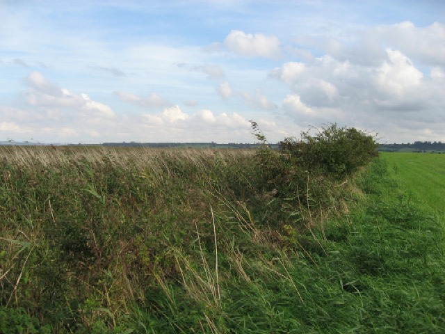 File:Following The Reeds - geograph.org.uk - 251482.jpg