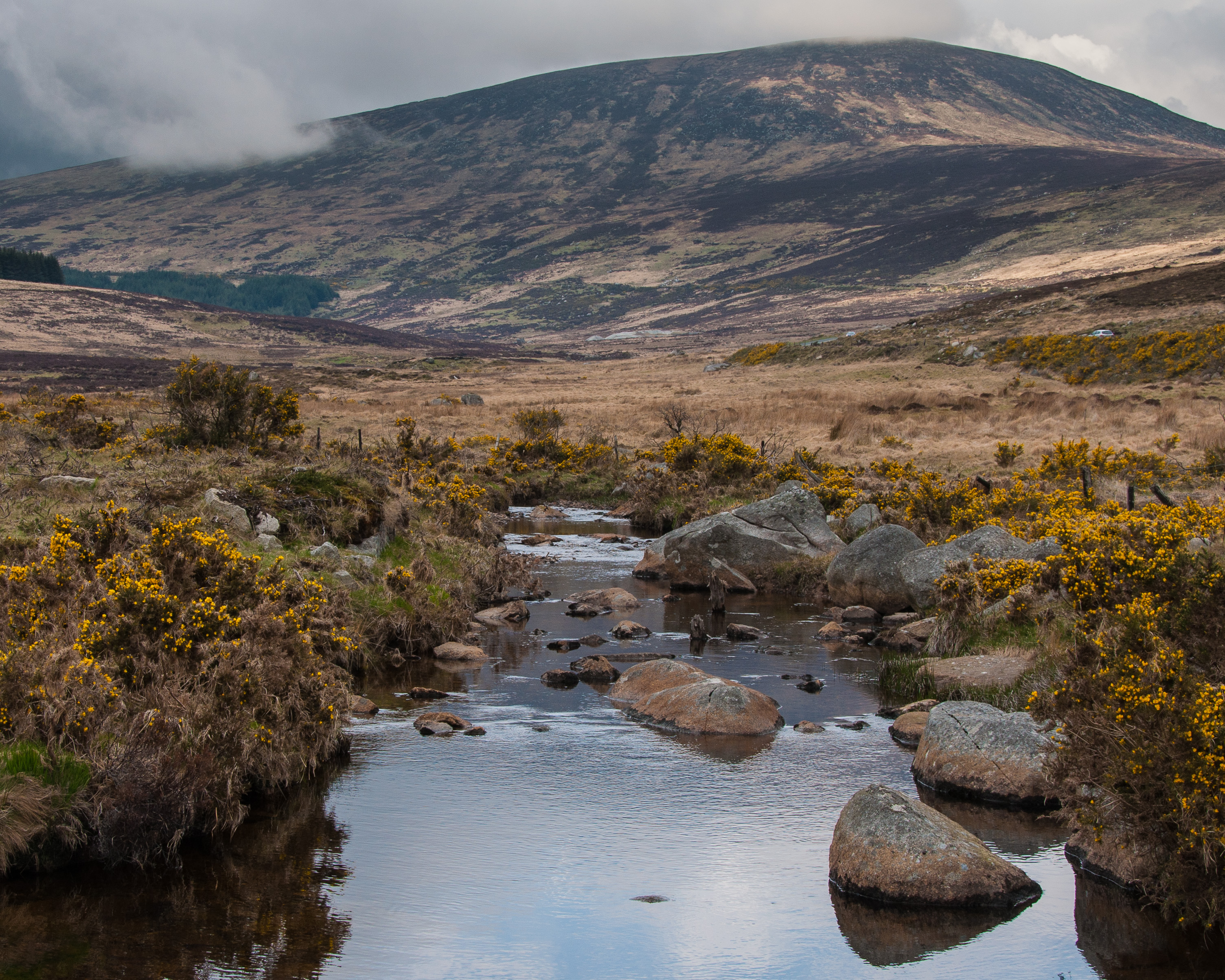 National Bird of Prey Centre - Wicklow County Tourism