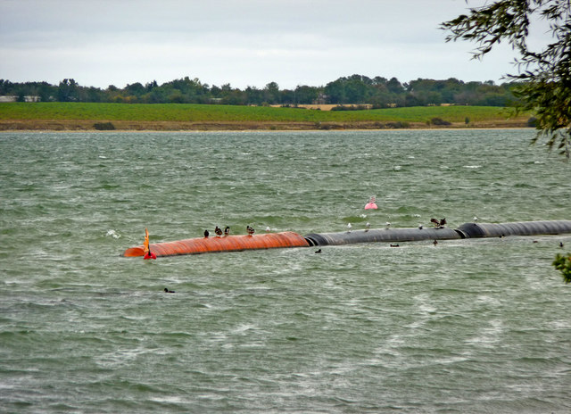 File:Grafham Water - geograph.org.uk - 1497008.jpg