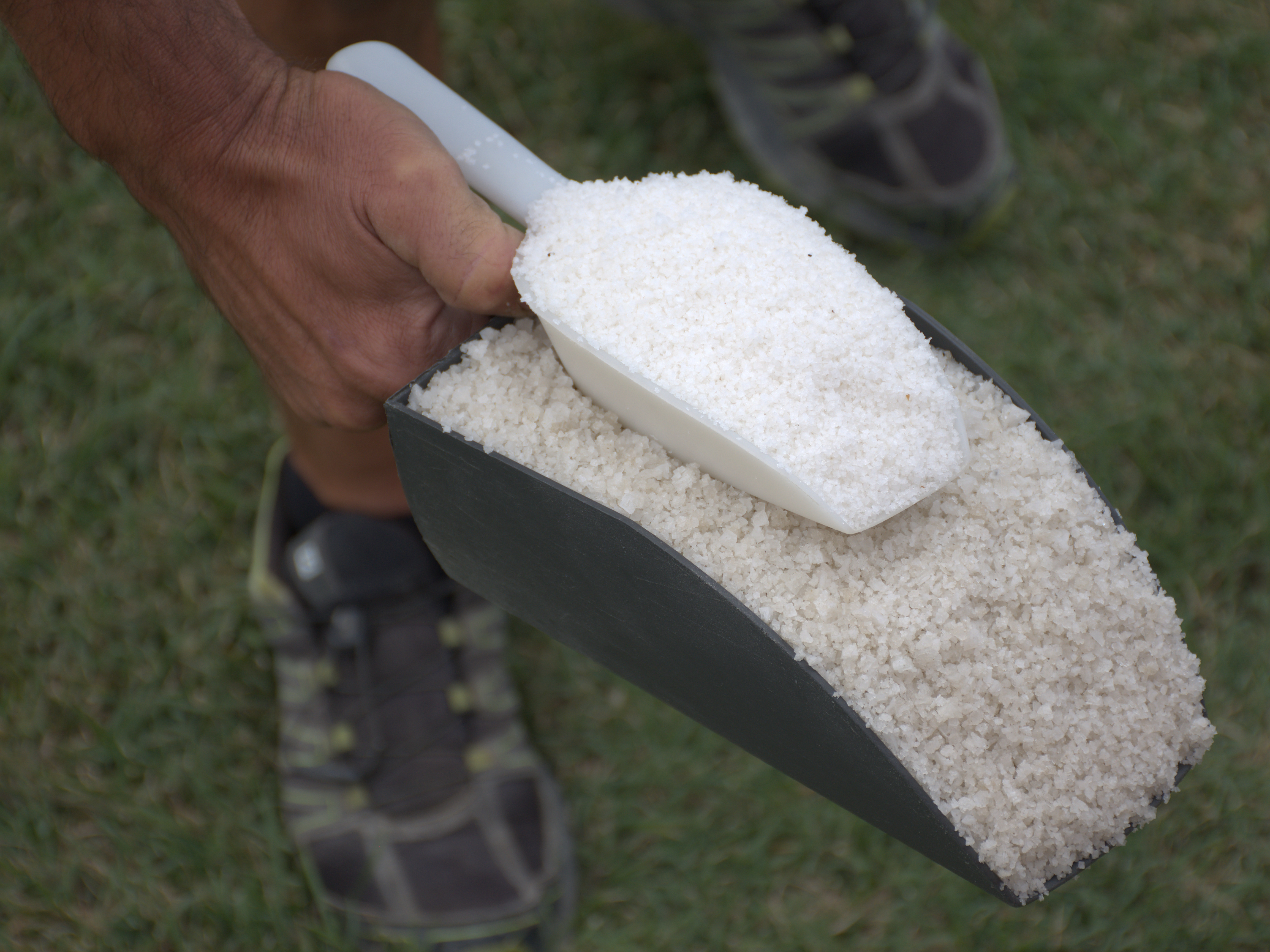 Bitterman's Fleur de Sel Sea Salt