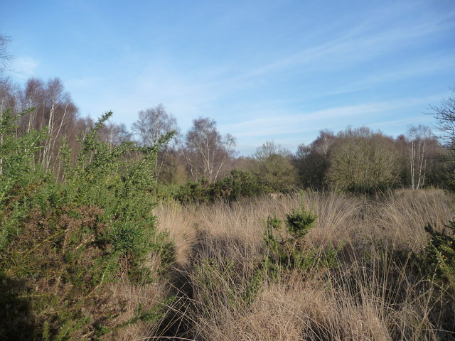 Hazeley Heath