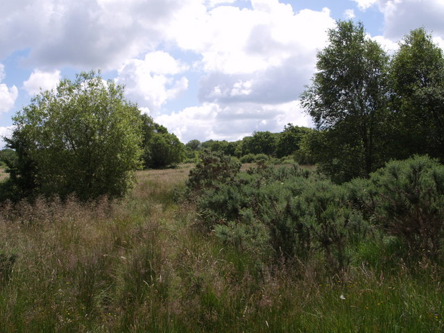 File:Hollow Moor - geograph.org.uk - 494979.jpg