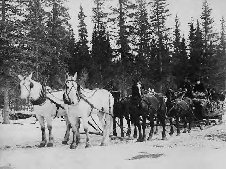 File:Horse drawn sled on trail from Chitina to Fairbanks, Alaska, circa 1910 (AL+CA 4726).jpg