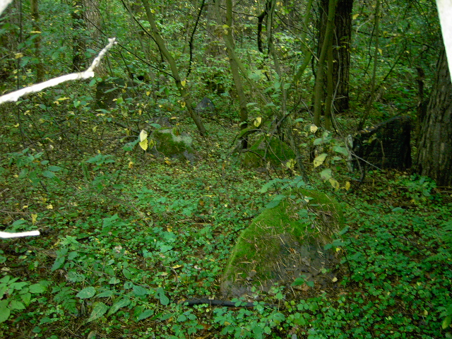 File:Jewish cemetery in Beshankovichy 20.jpg