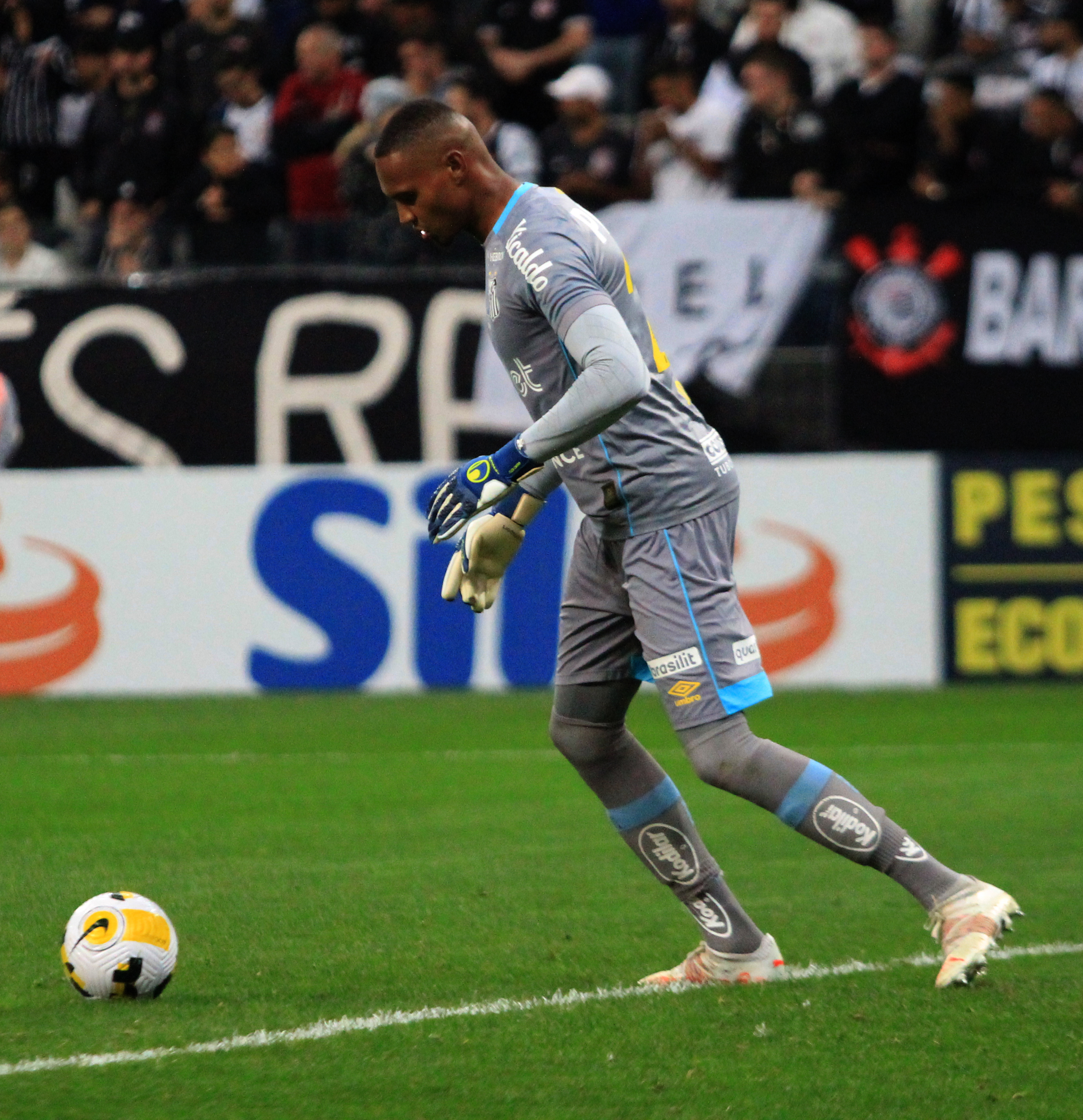 File:John-Santos-Corinthians-jun-2022.jpg - Wikipedia