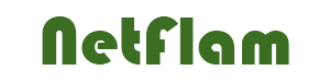 File:Logo netflam.png