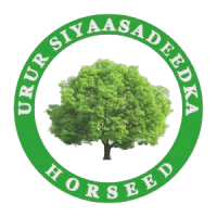 Logo of Horseed.png