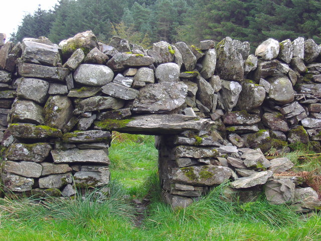 File:Old Sheep Pen Walls, Talnotry - geograph.org.uk - 259234.jpg