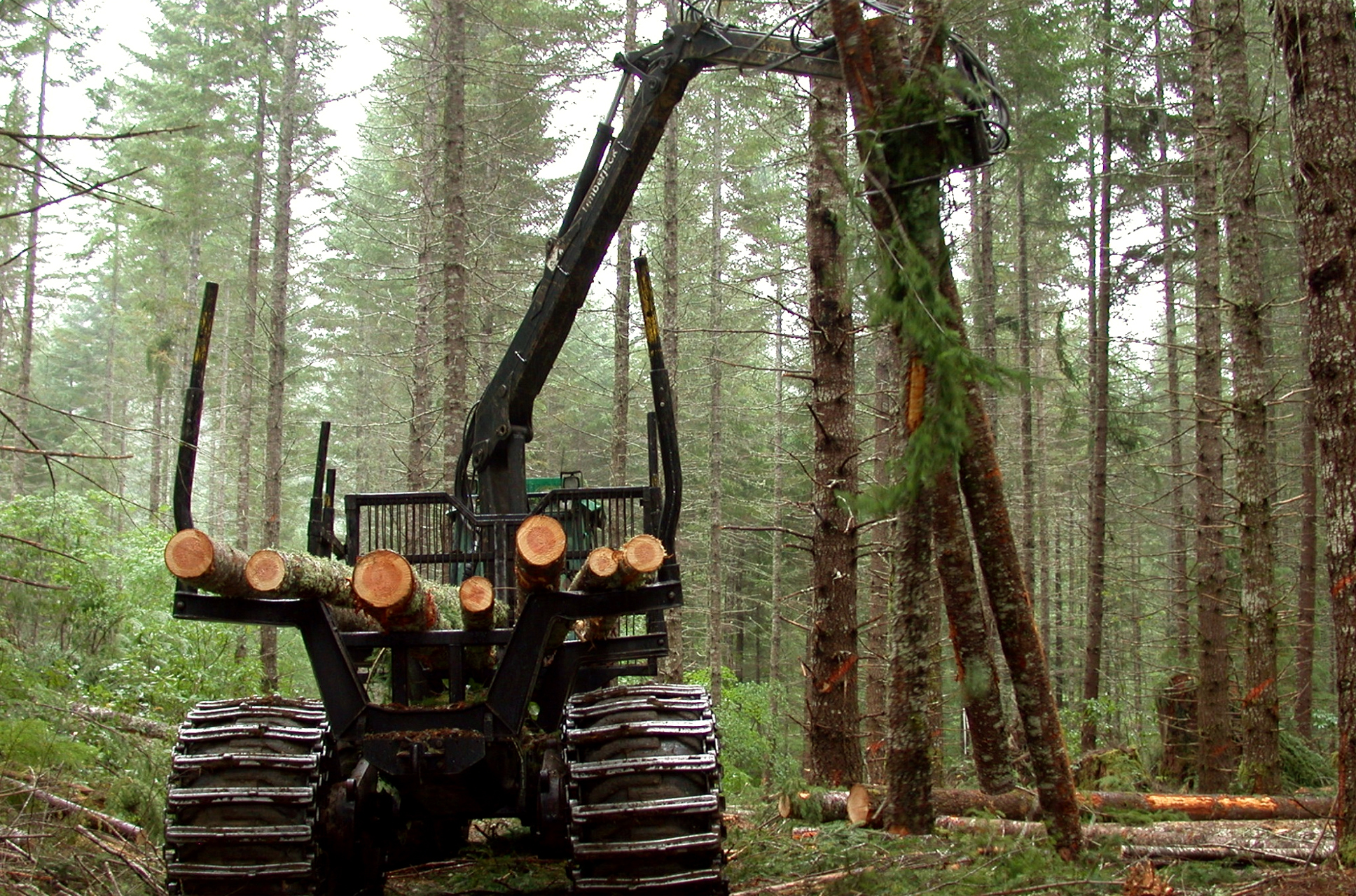 Лесозаготовка деревообработка. Лесное хозяйство Швеции. Лесная промышленность Канады. Лесозаготовительная отрасль Лесной промышленности. Лесообрабатывающая промышленность Канады.