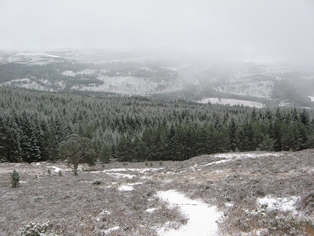 File:Path up Meall a' Bhuachaille - geograph.org.uk - 319982.jpg