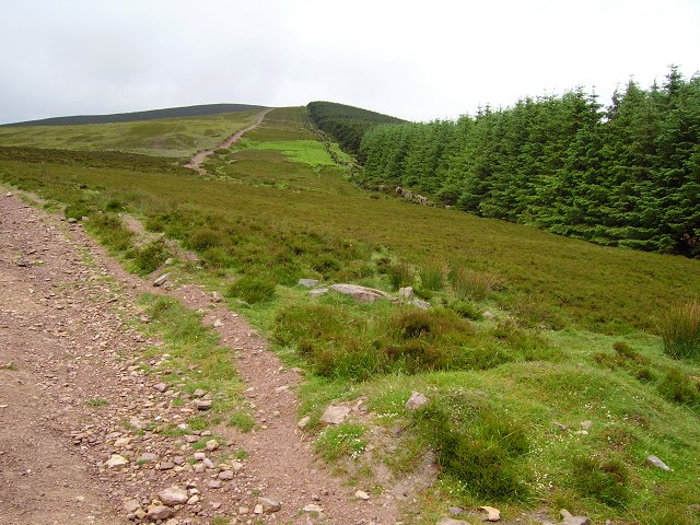 File:Path up Slievenamon - geograph.org.uk - 226029.jpg