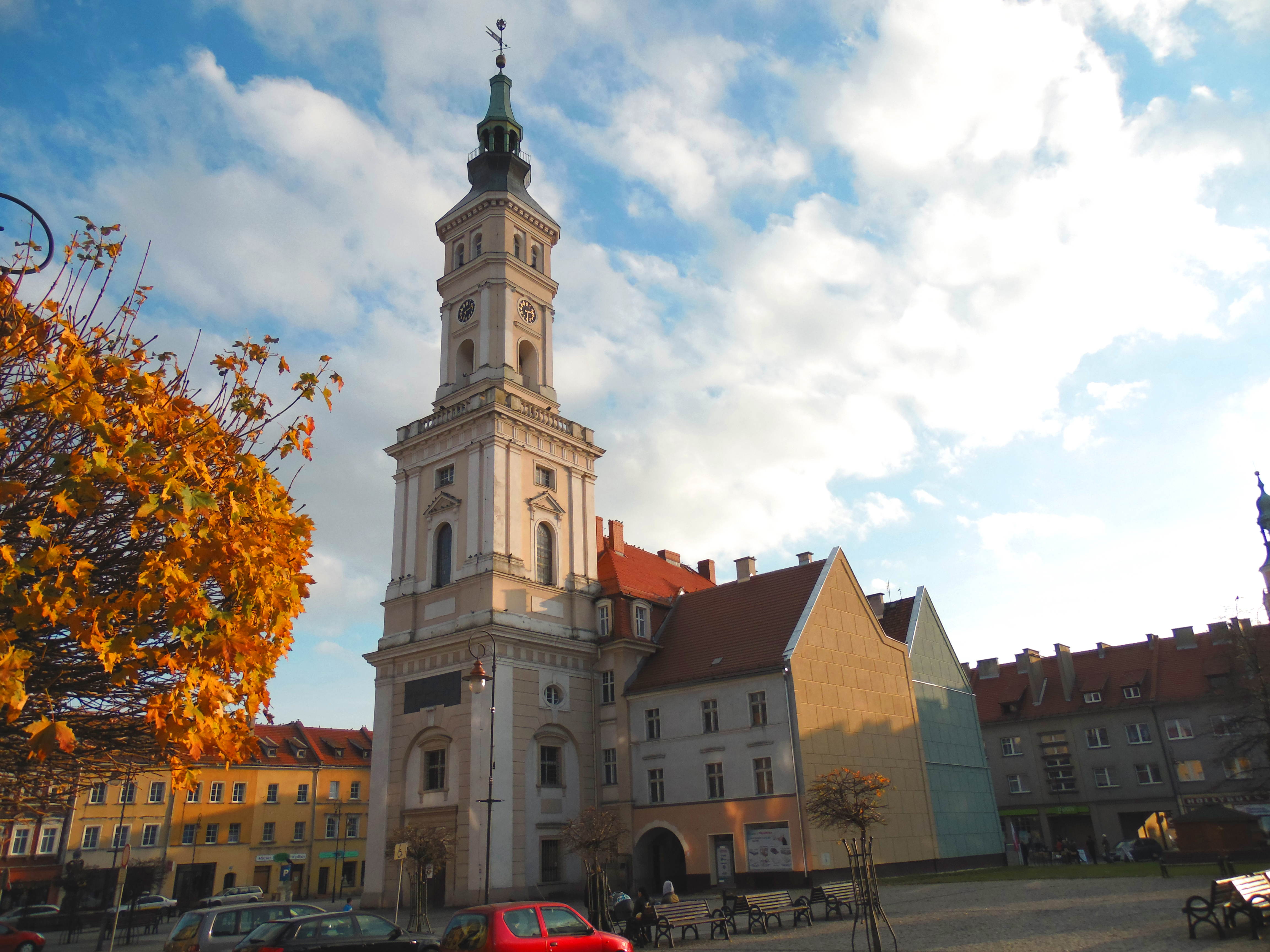 Trasy konne - Prudnik