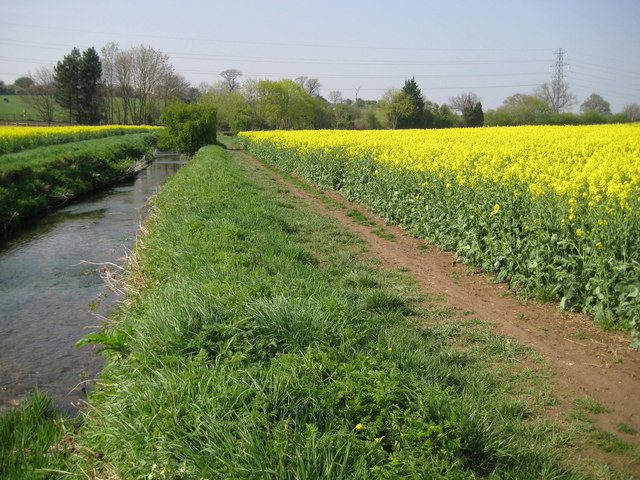 File:Radlett Brook - geograph.org.uk - 1265021.jpg