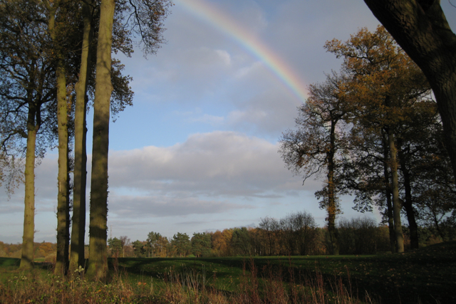 Rainbow over Terrace Hill Wood, The Warwickshire - geograph.org.uk - 1584740