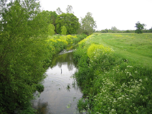 River Cary near Lytes Cary - geograph.org.uk - 431371