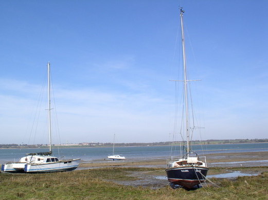 File:River Stour shore - geograph.org.uk - 361845 (cropped).jpg