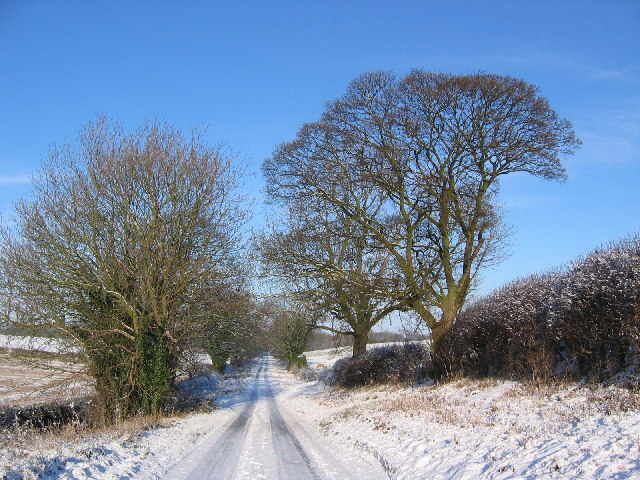 File:Road to Bishop Burton - geograph.org.uk - 99921.jpg