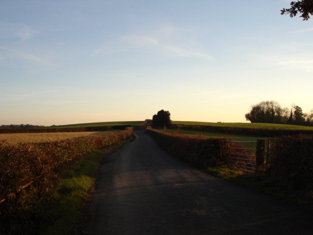 File:Whydown Road Nr Hooe East Sussex - geograph.org.uk - 85996.jpg