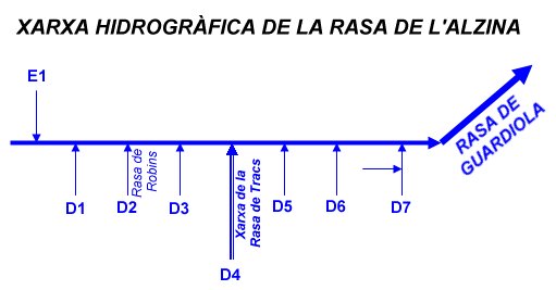 Xarxa hidrogràfica de la Rasa de l'Alzina