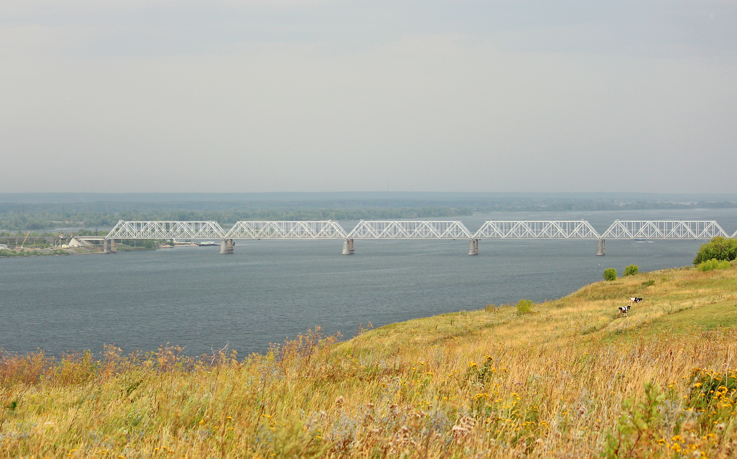 романовский мост зеленодольск